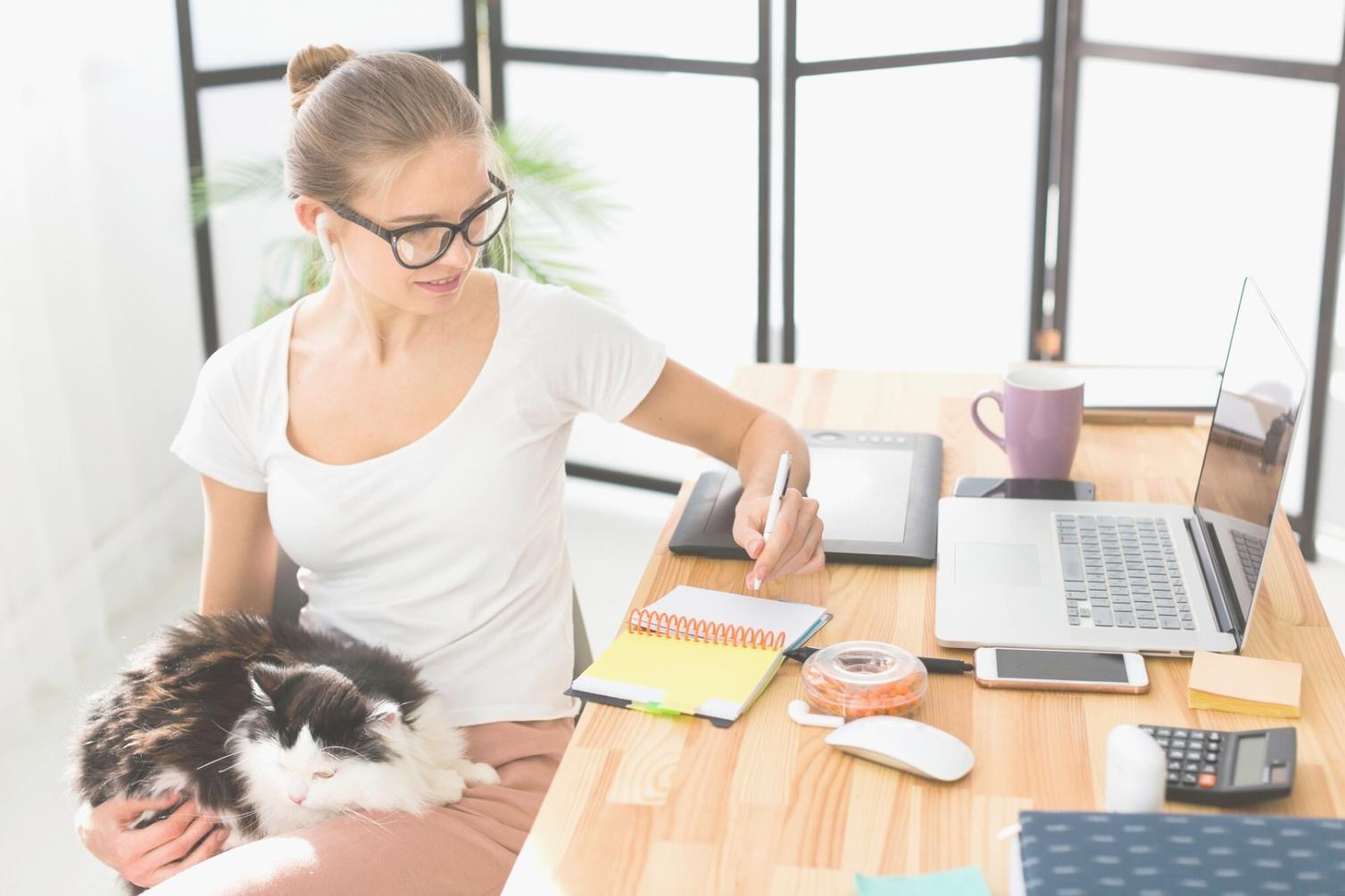 Financial analysts working on valuation models in modern office environment